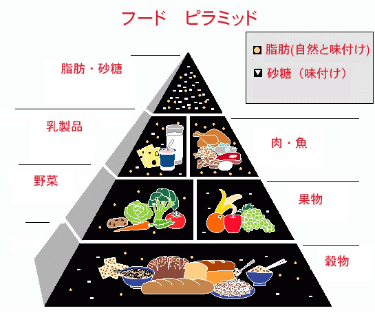 food pyramid